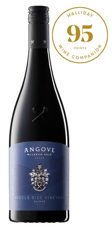 Angels Rise Vineyard Shiraz 2020 - 95 GOLD