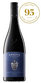 Angels Rise Vineyard Shiraz 2021 - 95 GOLD